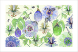 passionfruit summer art print by Judith M Boyes