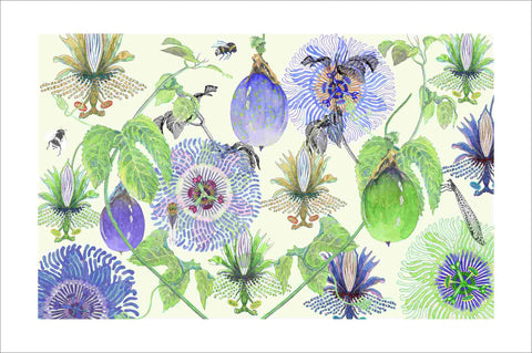 passionfruit summer art print by Judith M Boyes
