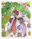 banana flower art print by Judith M Boyes