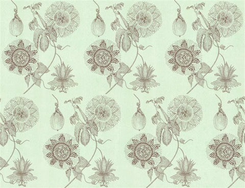 wallpaper mint passionfruit by Judith M Boyes