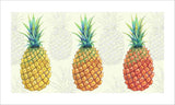 pineapple trio art print by Judith M Boyes